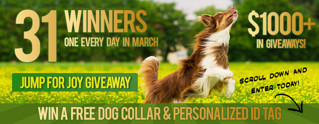 Official March Giveaway Page - Win a FREE Dog Collar & Personalized ID Tag