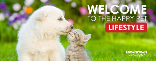 Your Indispensable Pet Blog Has Arrived!