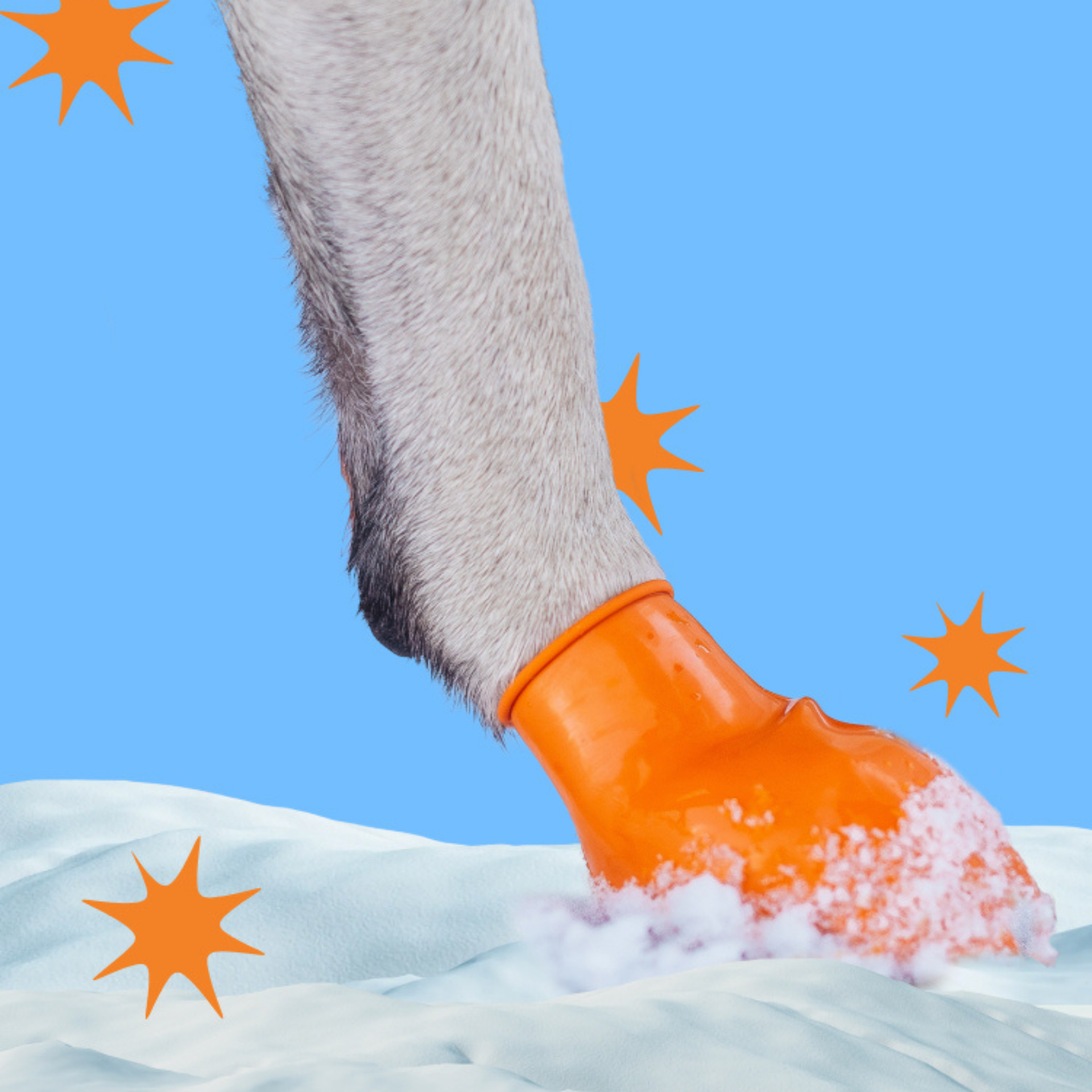 PawZ® Rubber Dog Boots, 12 Boots, Classic Colors