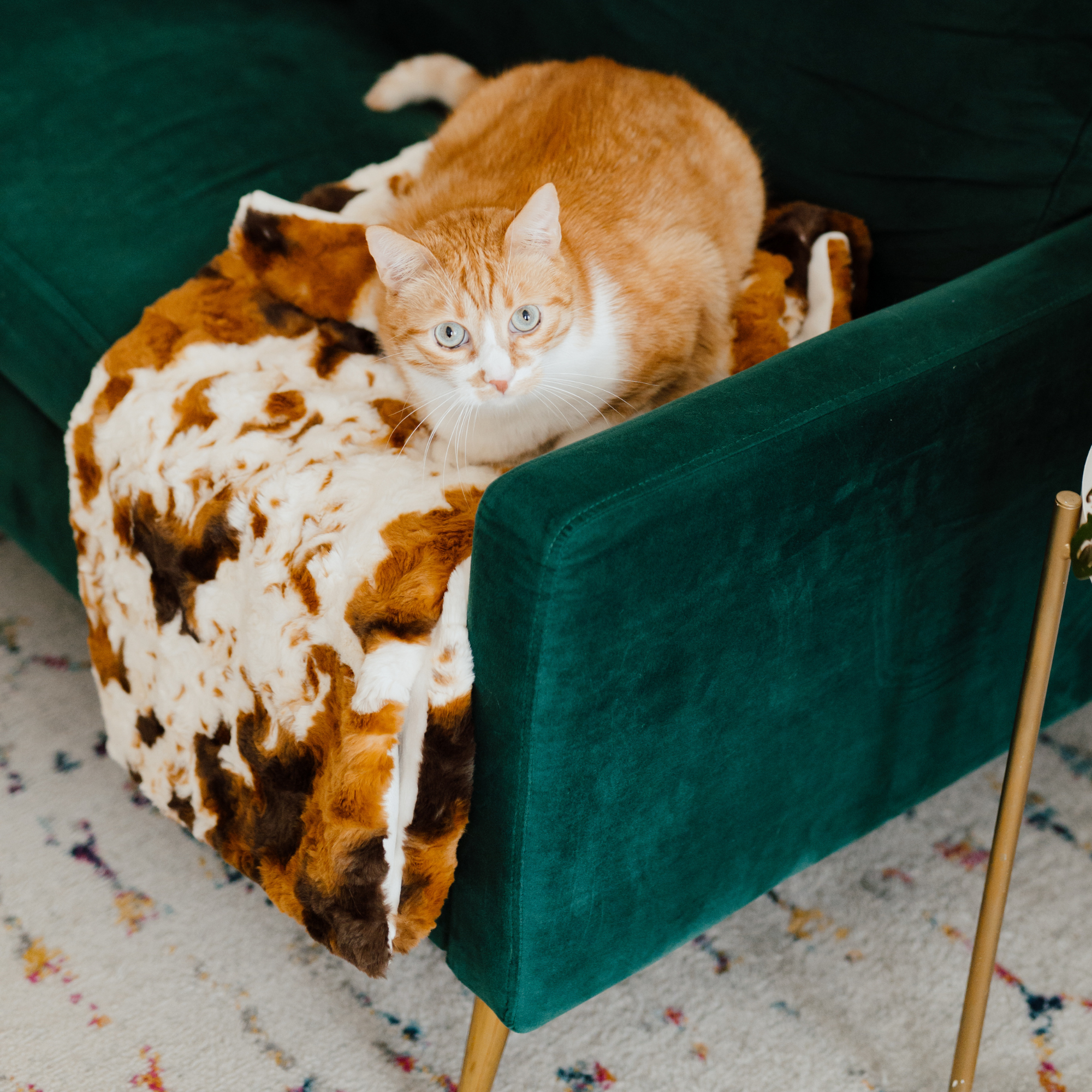 Furever Cat Blanket x Nomari by Little Giraffe®