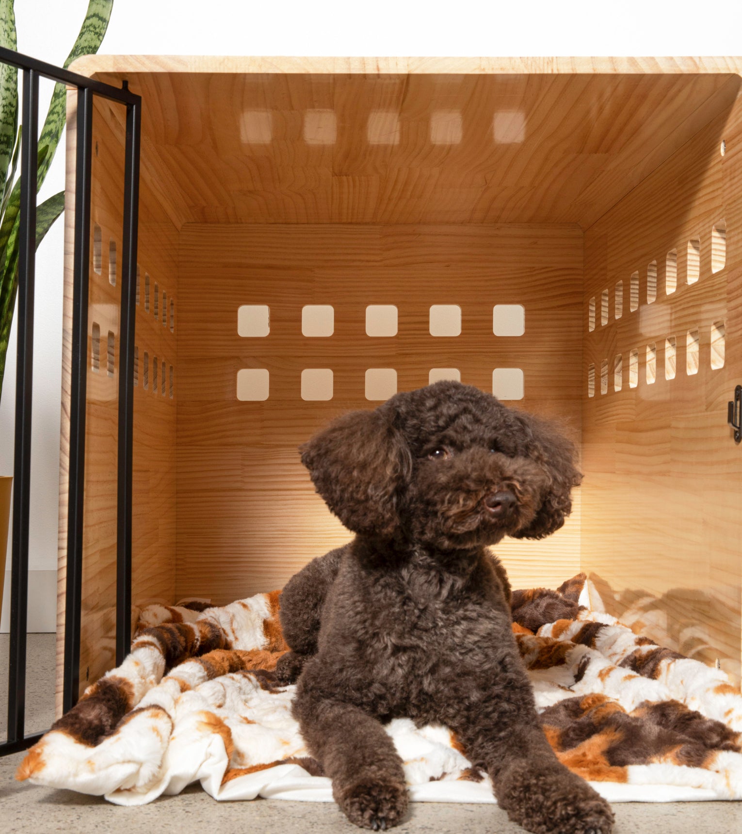 Furever Dog Crate Blanket x Nomari by Little Giraffe®