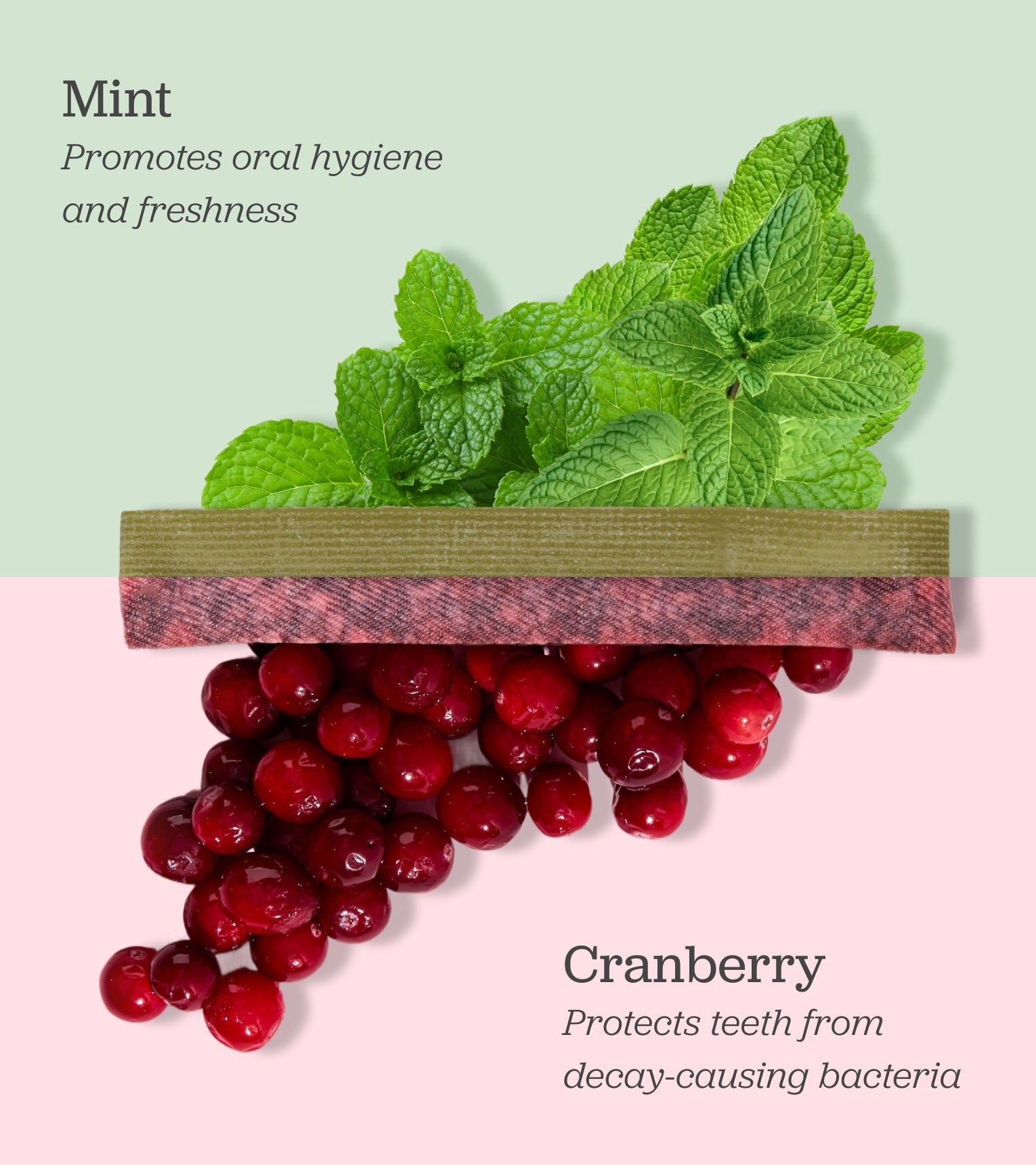 Holiday Candy Cane Gift Set