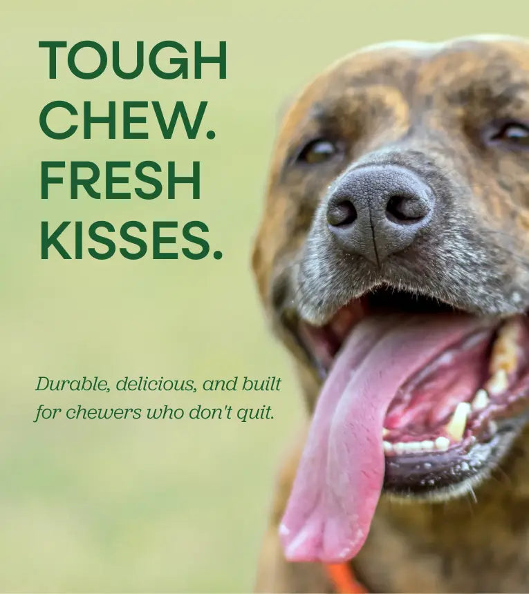 Downtown Barkery Long Lasting Mint Yak Chews for Dogs