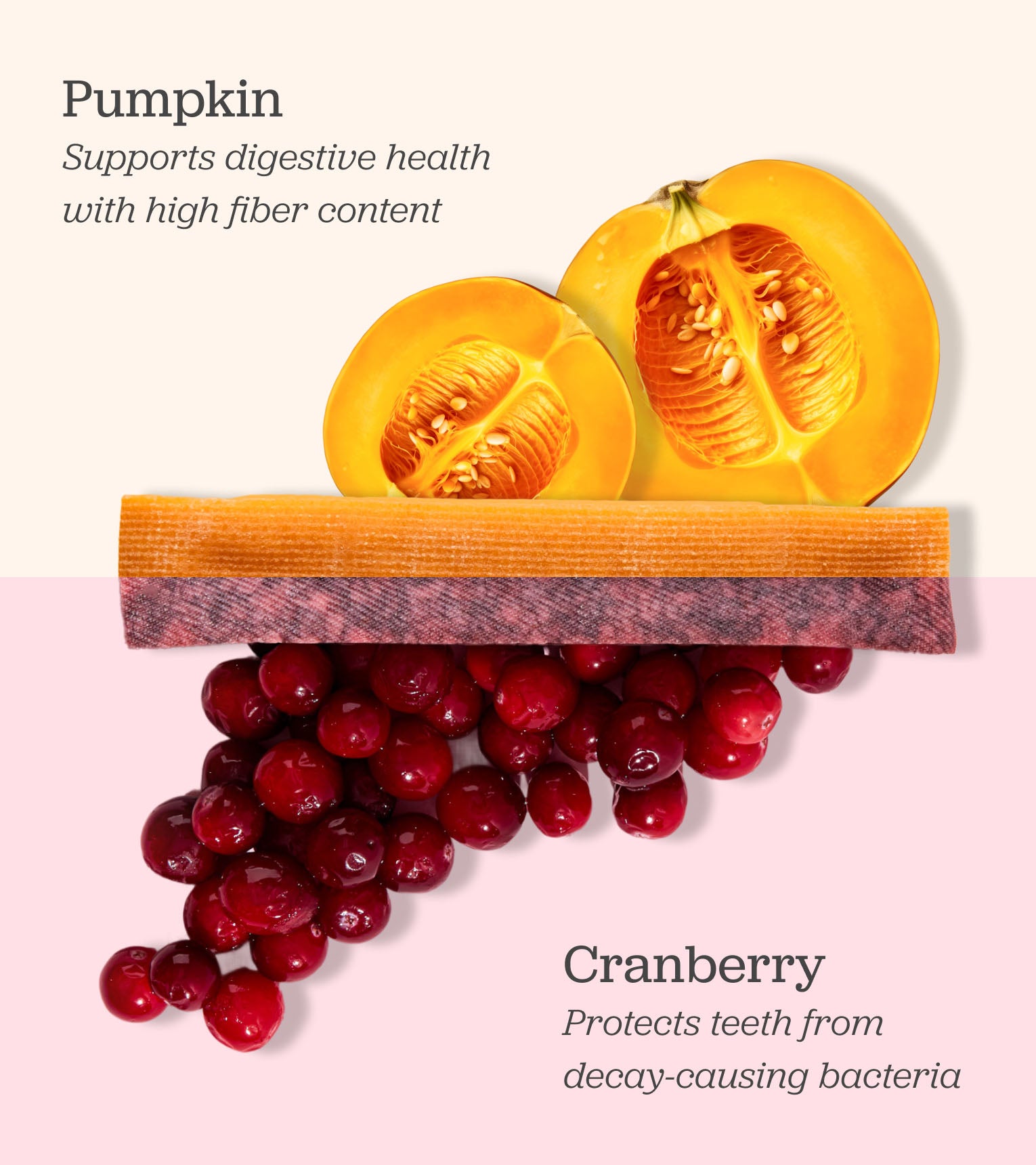 Thanksgiving Feast Holiday Gift Set