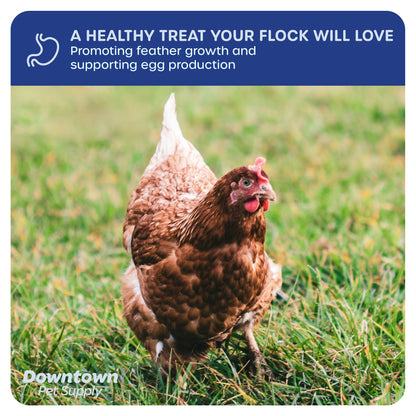 Dried Mealworms - High Protein Natural Treats - By Weight