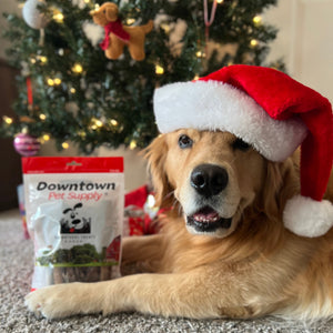 Dog wearing a Santa hat with a bag of Downtown Pet Supply bully sticks in front of a Christmas tree.