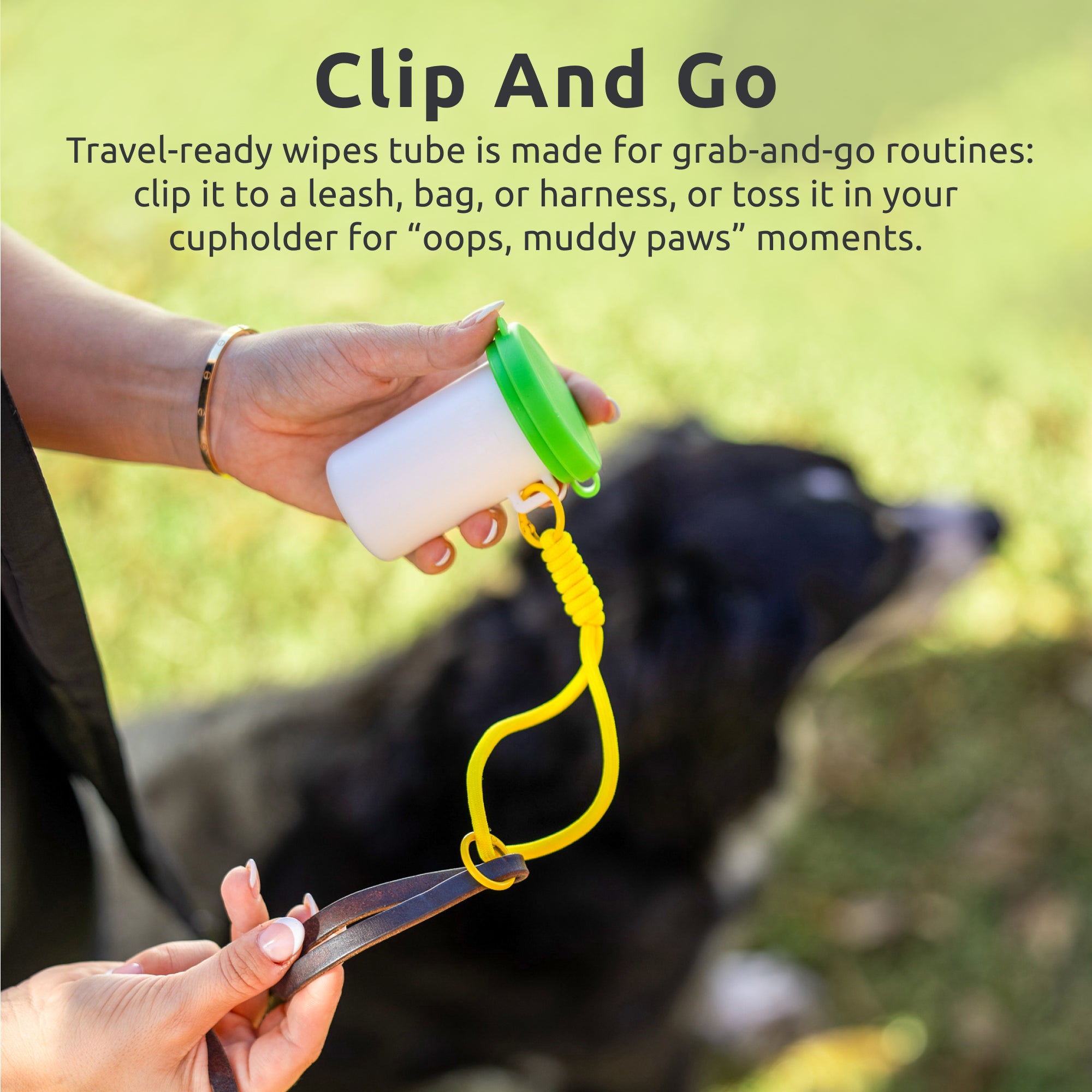 PawZ Travel Paw Care Kit – Downtown Pet Supply