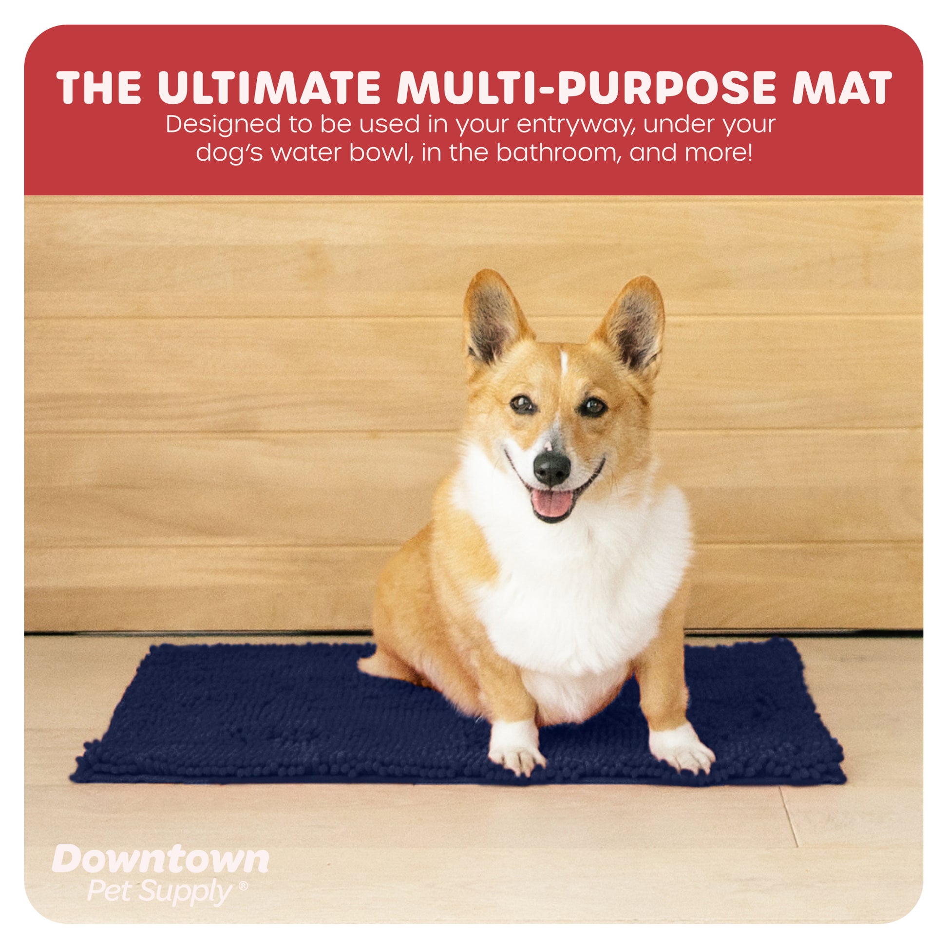 Absorbent Microfiber Dog Mat - Dog Door Mat - Multi-Pack Options – Downtown  Pet Supply