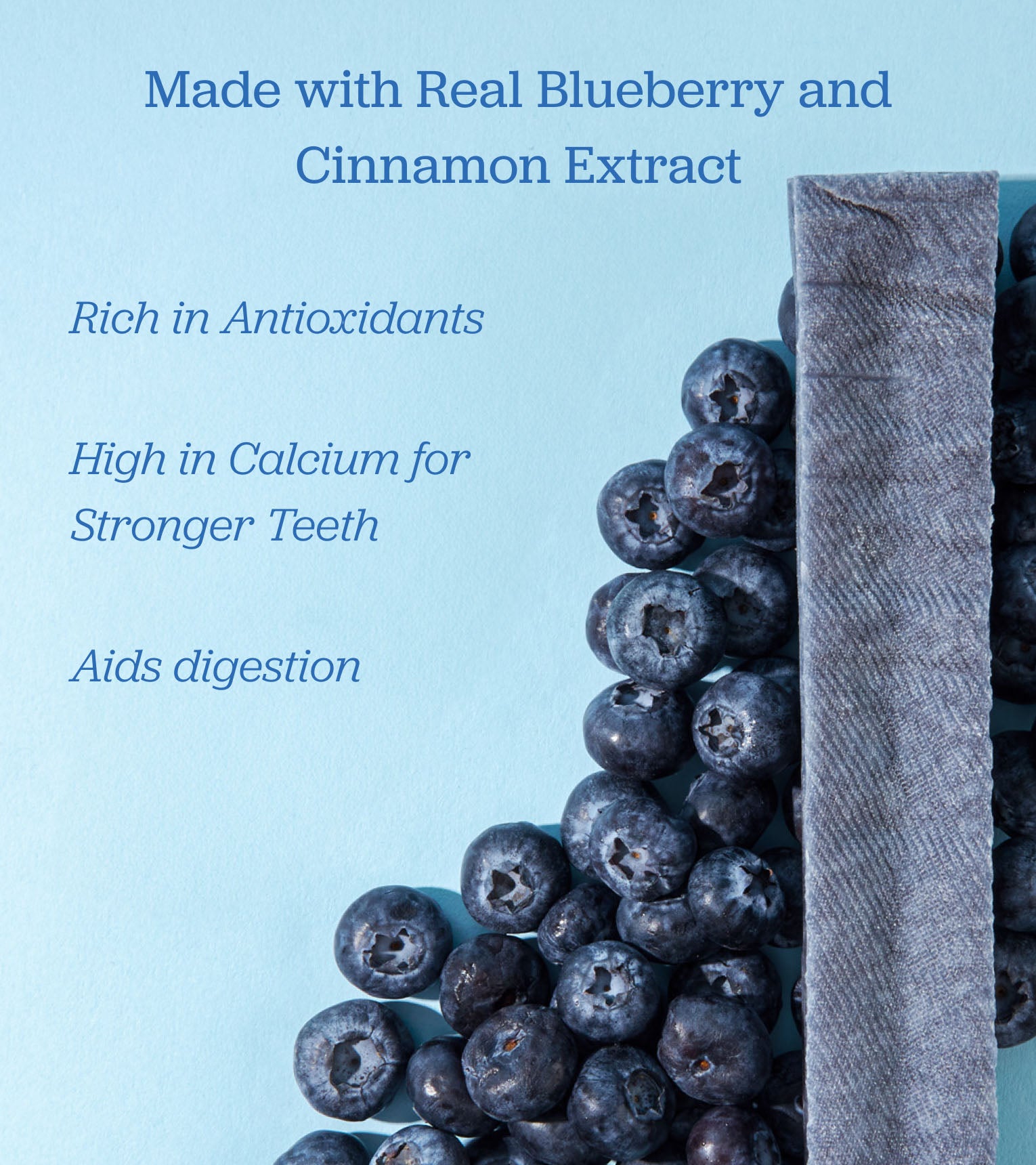 Blueberry Yak Cheese Chews for Dogs
