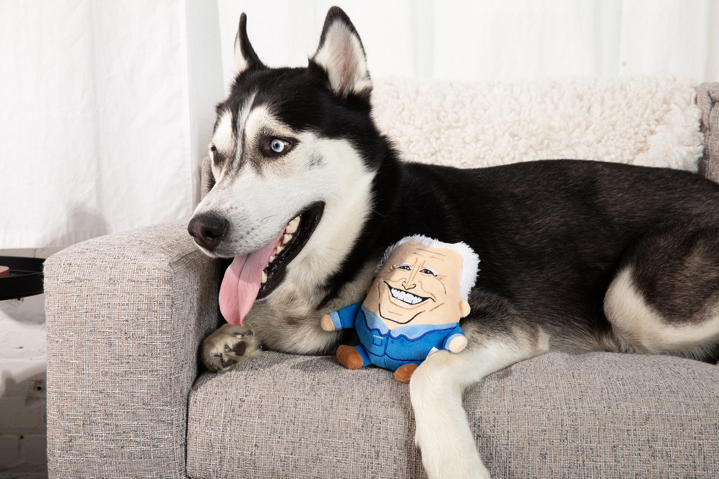 Political Dog Toys for Aggressive Chewers with Squeaker - Multi-Style