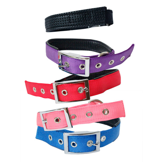 Adjustable Deluxe Padded Dog Collar - Multi-Color and Size Options