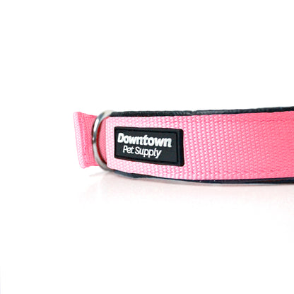 Deluxe Padded Dog Collar, Thick and Adjustable
