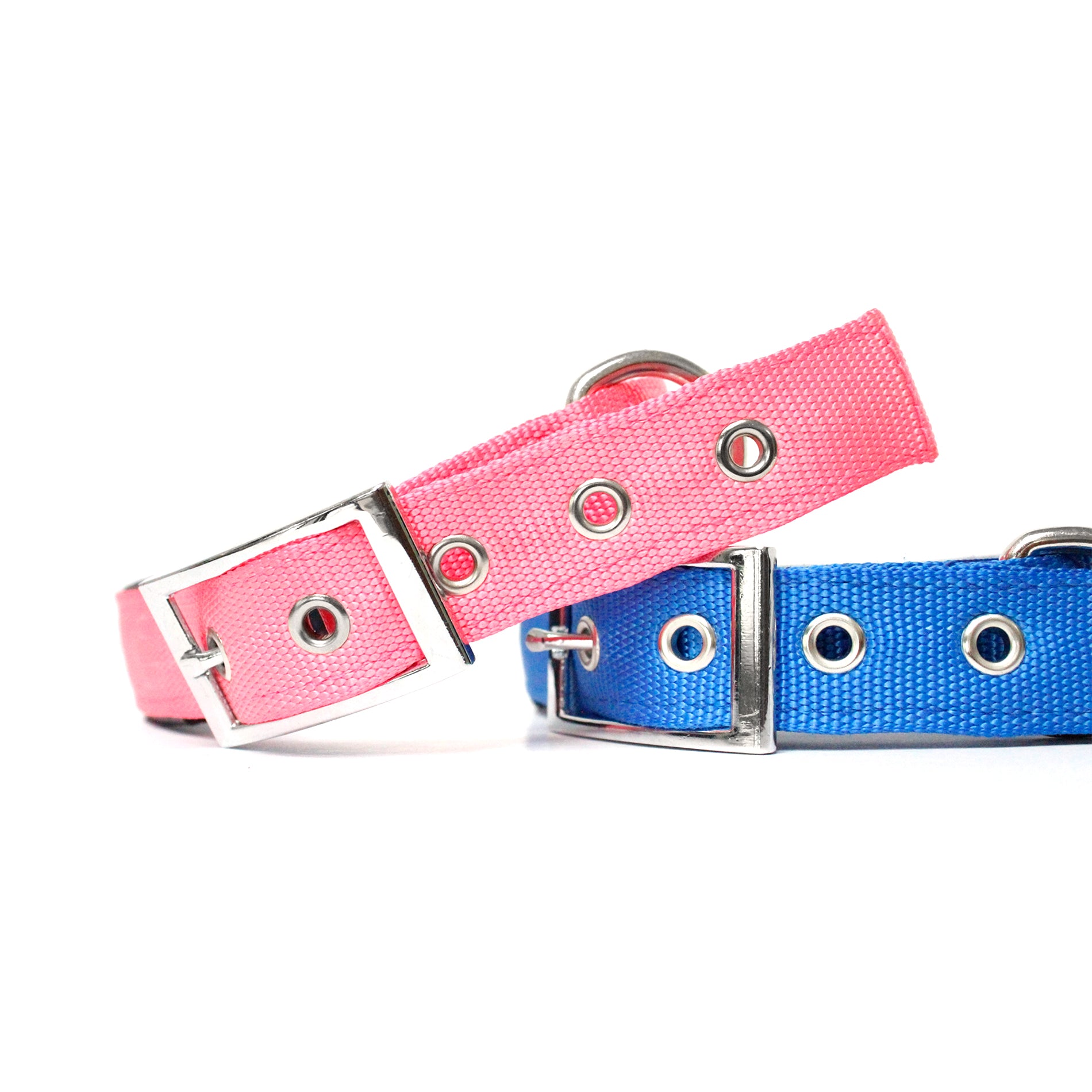 Pink and blue dog hot sale collar