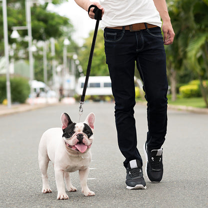 Long Dog Leash, Training Lead