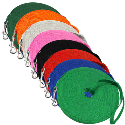 Long Dog Leash, Training Lead