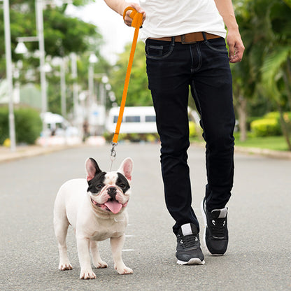 Long Dog Leash, Training Lead