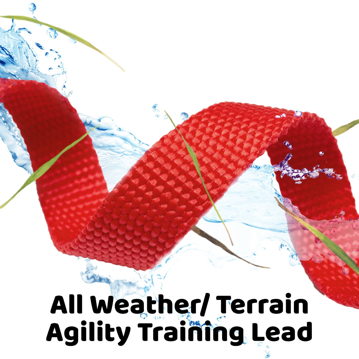 Long Dog Leash, Training Lead