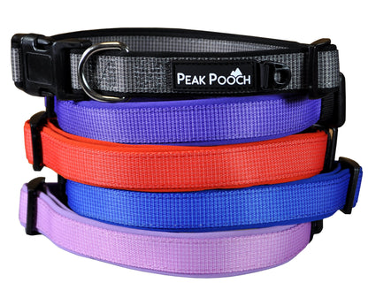 Designer Dog Collar, Soft Padded Adjustable, For Small, Medium and Large Dogs