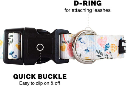 Dog Collar with Premium Nickel Plated D-ring - Multi-Size and Style