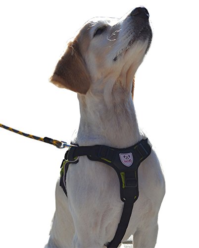 Adjustable Reflective Padded Dog Harness - Green Color