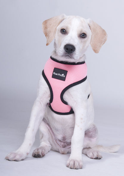 Peak Pooch Comfort Harness, Puppies, Small and Medium Dogs