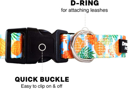Dog Collar with Premium Nickel Plated D-ring - Multi-Size and Style