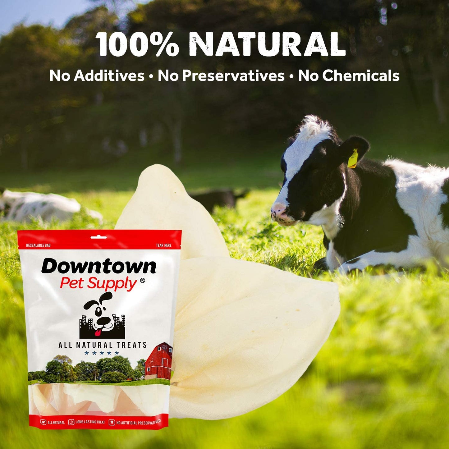 Cow Ears - Dog Dental Chews for Aggressive Chewers - By Pack