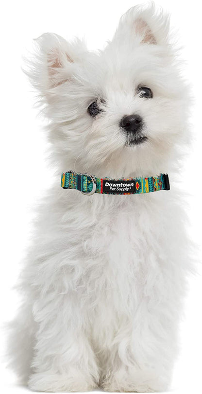 Dog Collar with Premium Nickel Plated D-ring - Multi-Size and Style