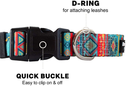Dog Collar with Premium Nickel Plated D-ring - Multi-Size and Style