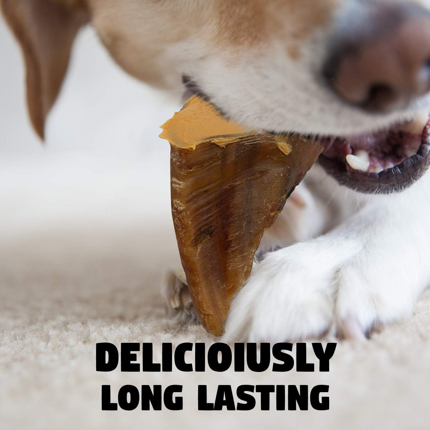 USA Cow Hooves Dog Treat, Long Lasting Dental Chews, 100% Natural Free Range Beef