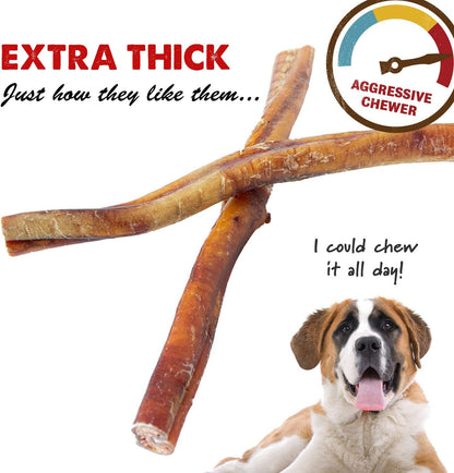 6 and 12 inch Jumbo Extra Thick USA Bully Sticks for Dogs (Bulk Bags by Weight) - All Natural American Dog Dental Chew Treats, High in Protein, Great Alternative to Rawhides