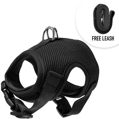 Adjustable Cat Harness and 4' Leash - Multi-Size and Color Options