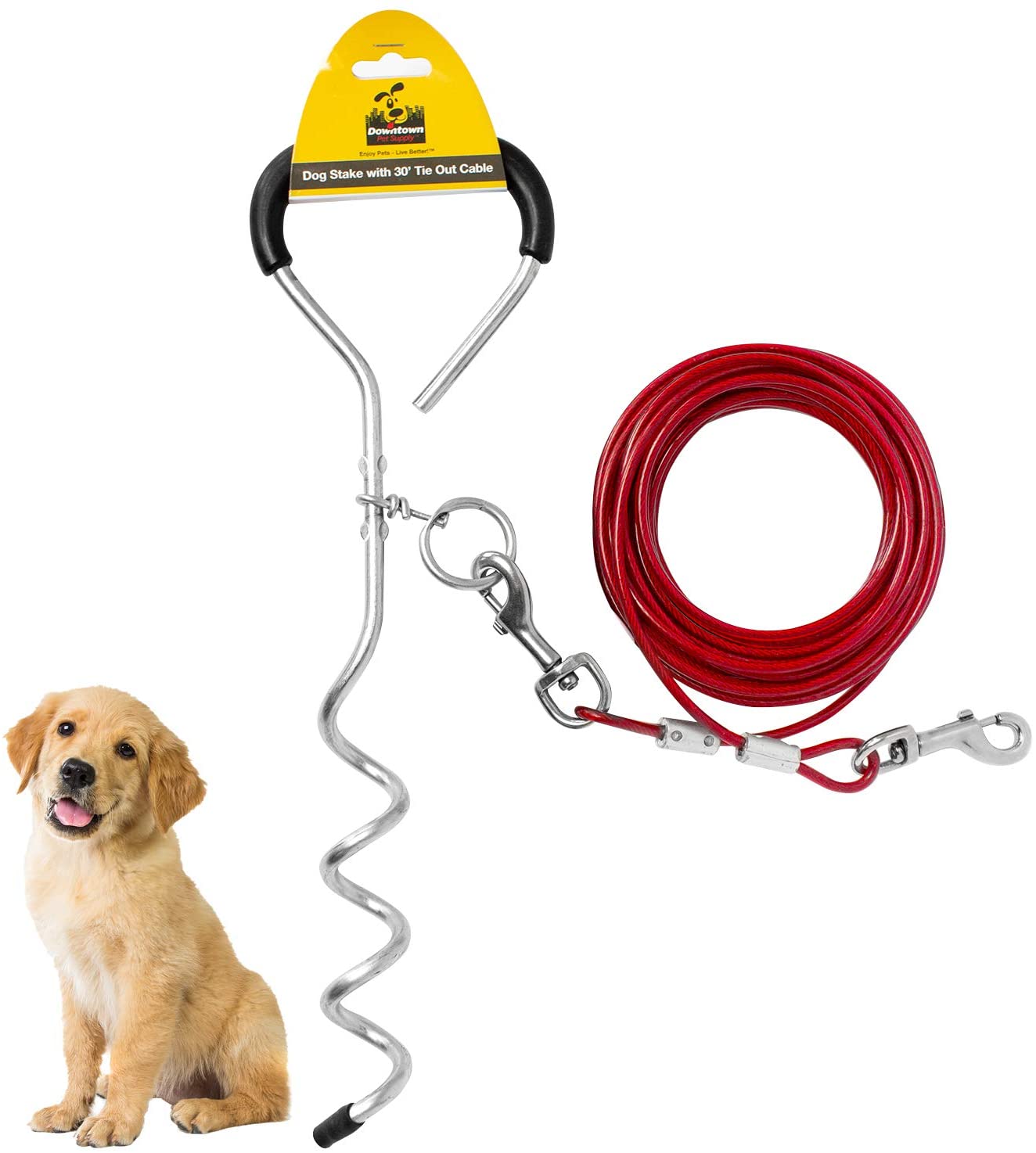 Dog Tie Out with Cable - 20 Foot