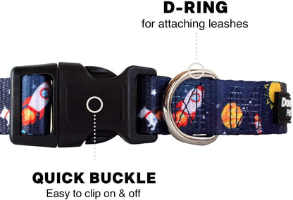 Dog Collar with Premium Nickel Plated D-ring - Multi-Size and Style