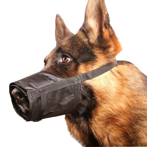 Mesh hotsell dog muzzle