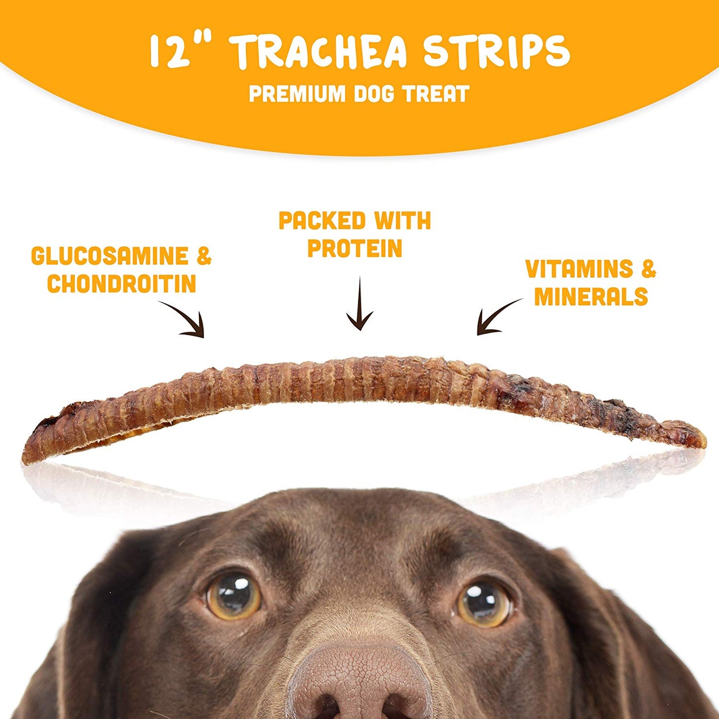 Premium 6" and 12" Beef Trachea Strip Dog Chews, Great Source of Glucosamine, 100% Natural Long-Lasting Treats for Small, Medium, and Large Dogs