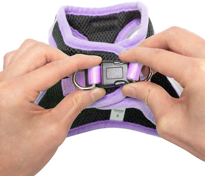 No Pull, Step in Adjustable Dog Harness with Padded Vest, Easy to Put on Small, Medium and Large Dogs