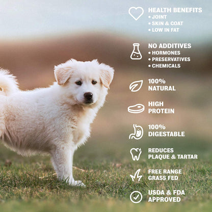 4-12" Beef Tendons for Dogs - Natural Chew Treats - Multi-Pack Options