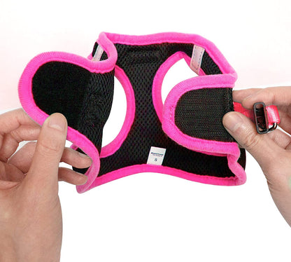 No Pull, Step in Adjustable Dog Harness with Padded Vest, Easy to Put on Small, Medium and Large Dogs