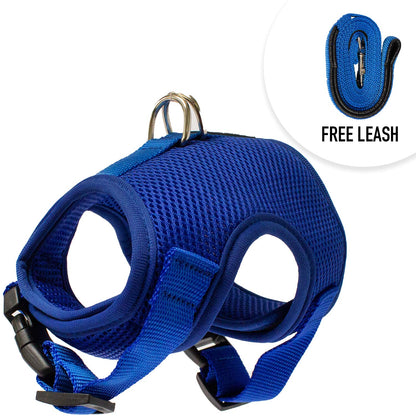 Adjustable Cat Harness and 4' Leash - Multi-Size and Color Options