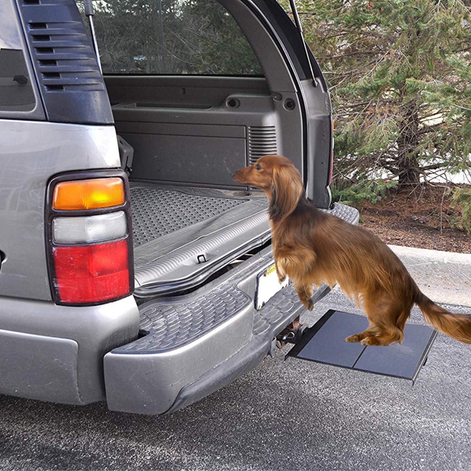 Dog step clearance for car hitch