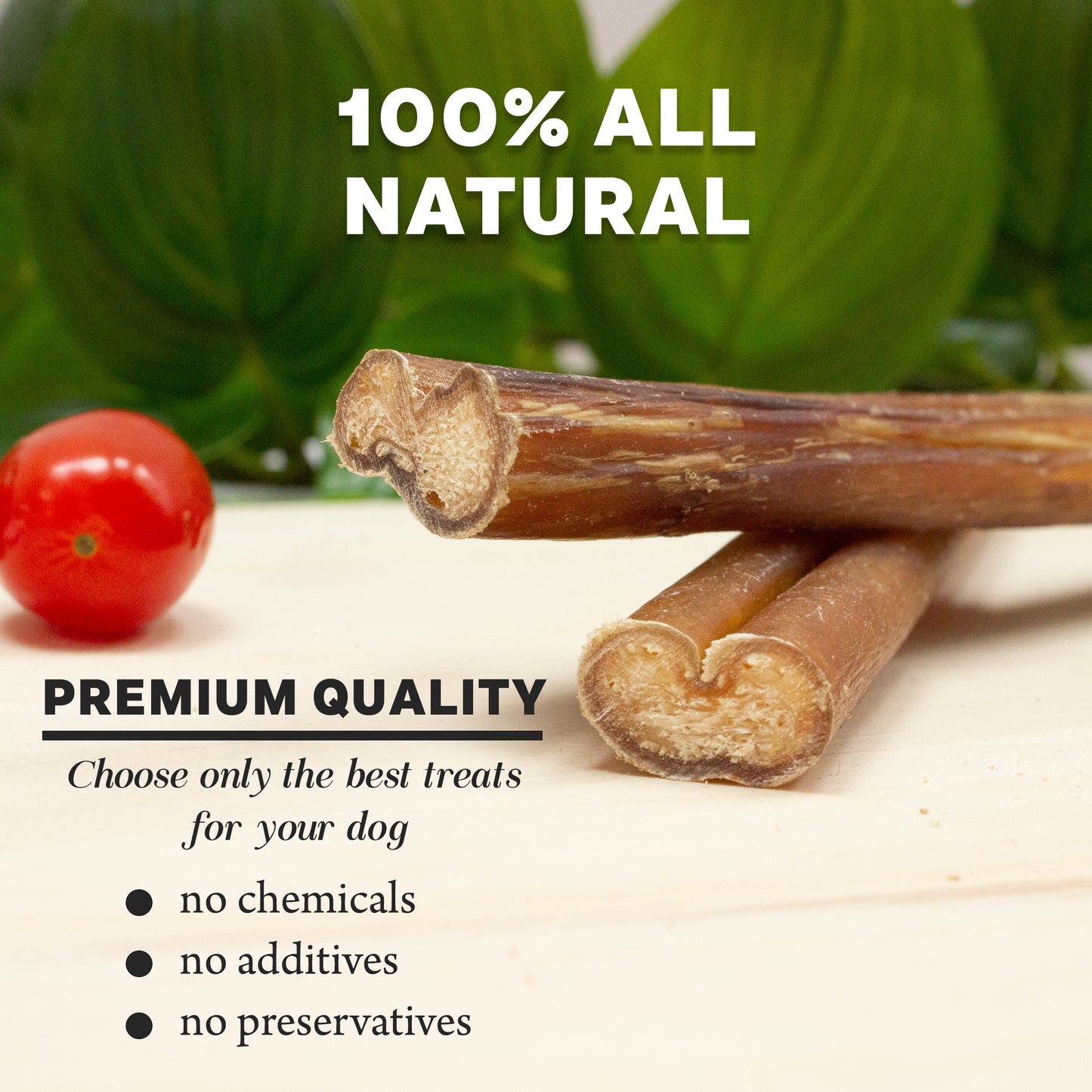 12 Inch Bully Sticks - 100% Natural Dog Chew Treat
