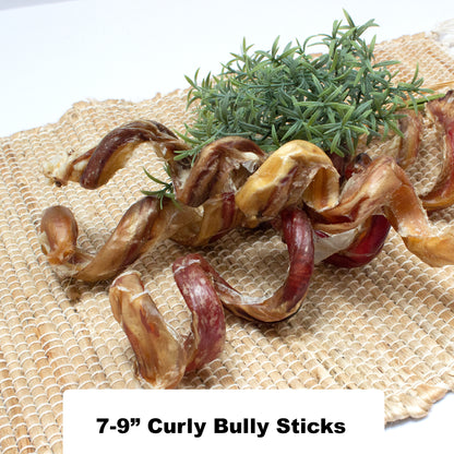 7-9" Inch USA Curly Bully Sticks - 100% Natural Dog Chew Treat