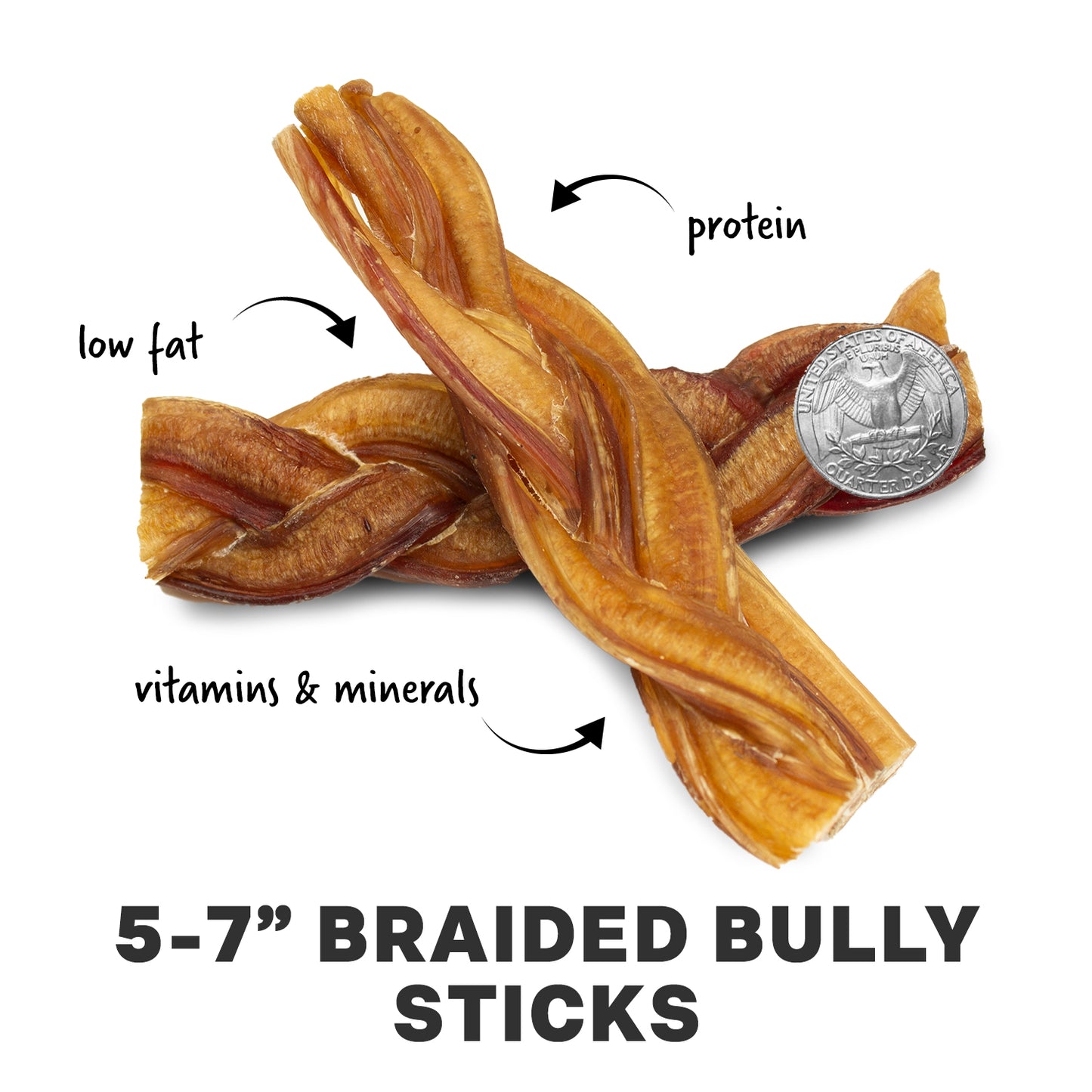 5" and 7" Braided Bully Sticks - Natural Dog Chew Treats - By Pack