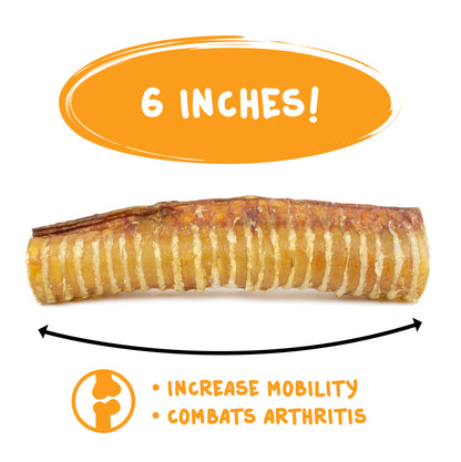 3-12" Beef Trachea for Dogs - Natural Chew Treats - Multi-Pack Options
