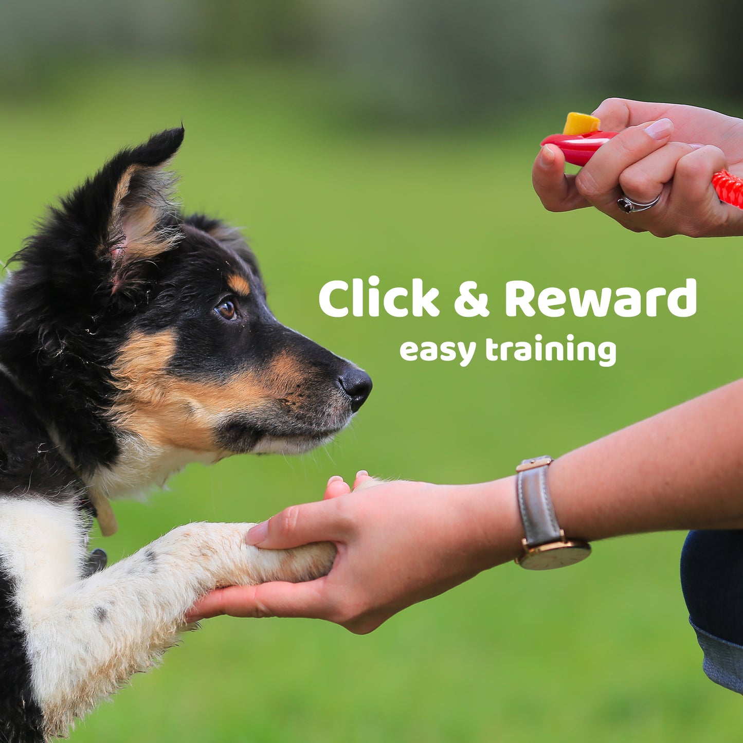 Dog Clicker for Training with Wrist Band - Multi-Pack Options