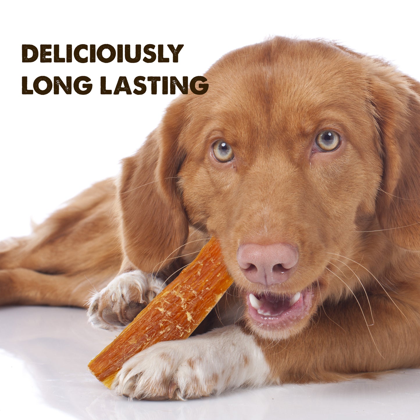 All Natural Beef Tendons- Sourced from USA and South America - Single Ingredient, Best Alternative to Bully Sticks, Healthy Dog Treats