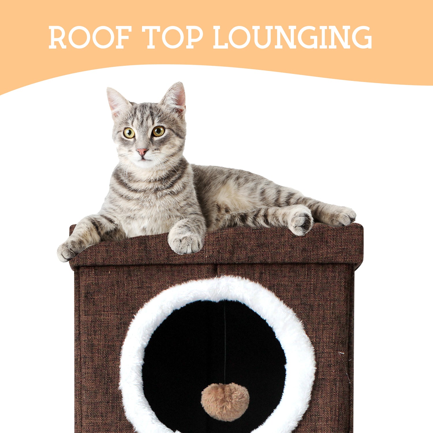 2 level cat outlet condo