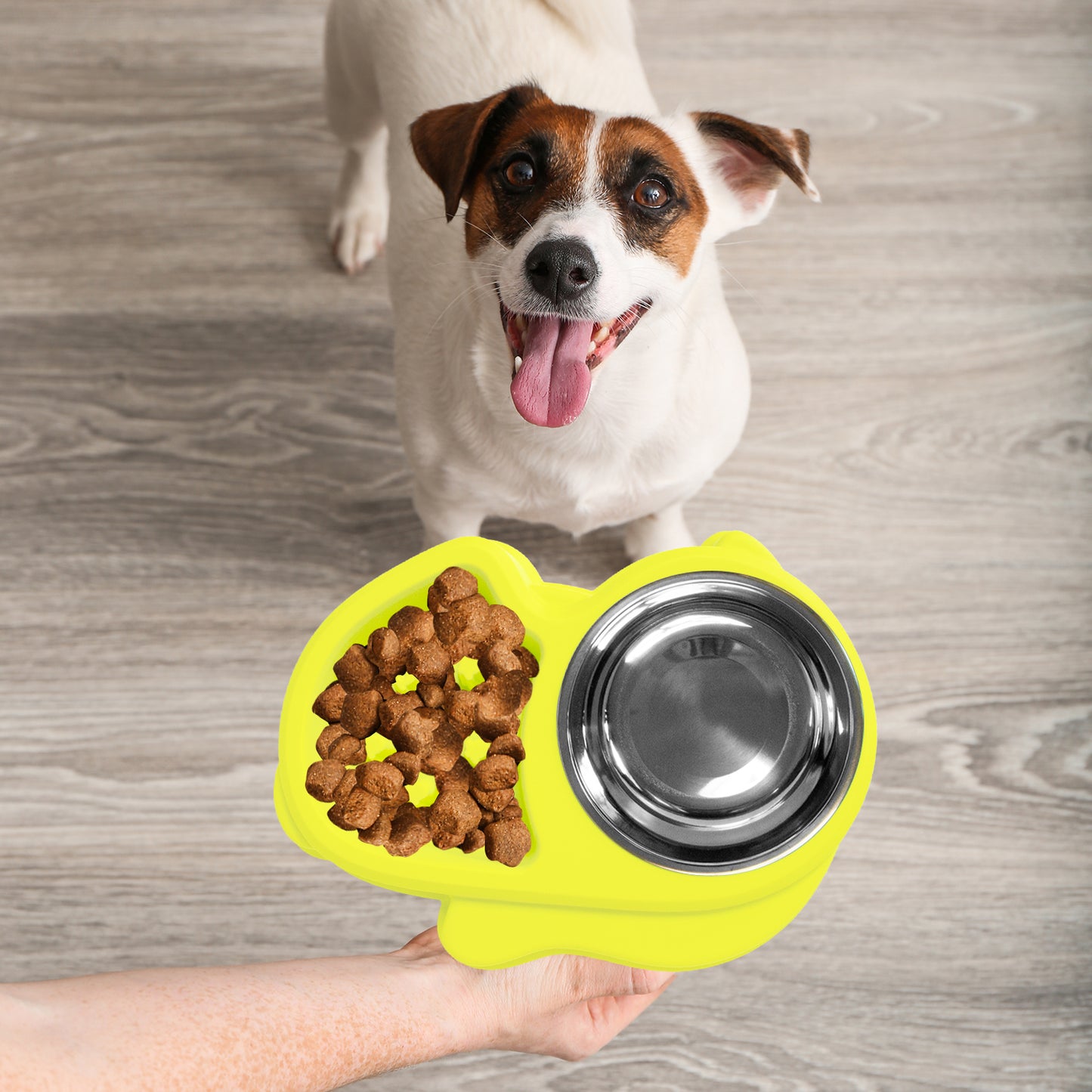 Slow Feed Dog Bowl with Steel Water Bowl - Multi-Color Options