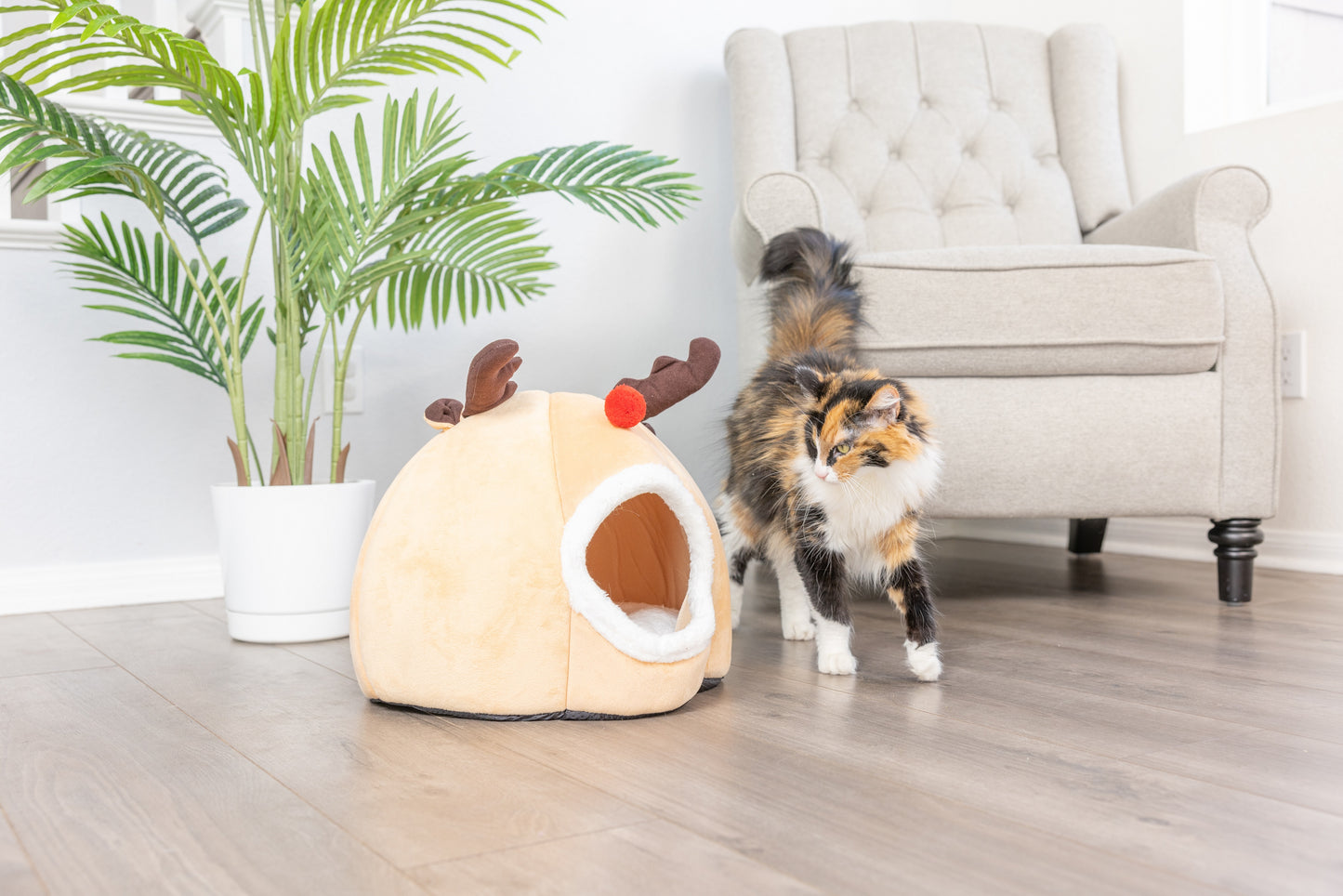 Best Cat Cave House and Kitty Bed, Extremely Cozy and Warm Mat